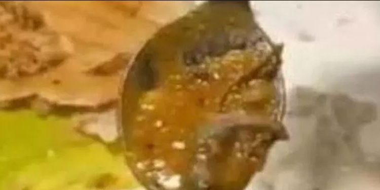 സാമ്പാറിൽ ചത്ത പല്ലി ;  70  വിദ്യാർഥികൾക്ക് ദേഹാസ്വാസ്ഥ്യം