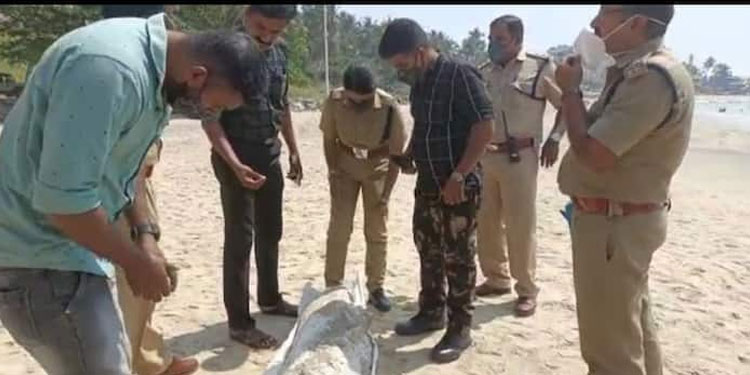 കോവളം തീരത്തെ ആംബർഗ്രീസ് ;  കൂടുതല്‍ പരിശോധന ആവശ്യമാണെന്ന് അധികൃതർ