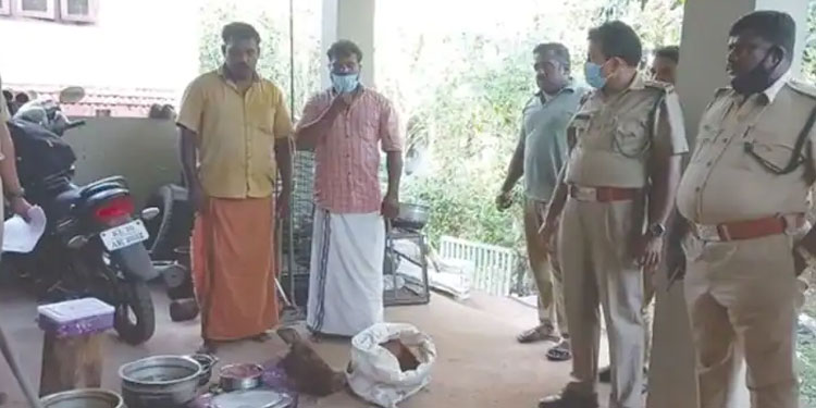 പന്നിയെ കെണിവച്ച് പിടിച്ച് കറിവെച്ചു ;  രണ്ട് പേര്‍ അറസ്റ്റില്‍
