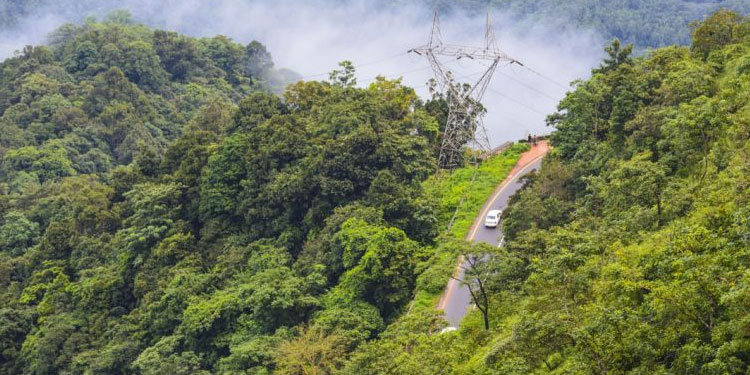കൊവിഡ് വ്യാപനം ;  വയനാട്ടിൽ ടൂറിസ്റ്റ് കേന്ദ്രങ്ങളിൽ നിയന്ത്രണം