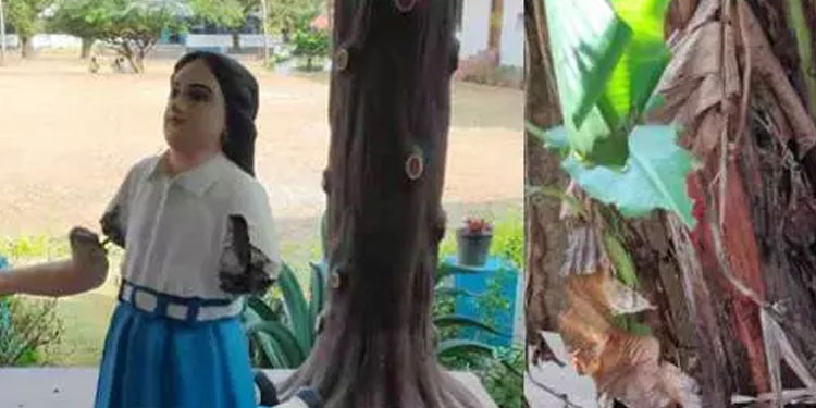 കോൺവെന്‍റ് സ്കൂളിൽ സാമൂഹിക വിരുദ്ധരുടെ അഴിഞ്ഞാട്ടം  ;  പ്രതിമ തകർത്തു