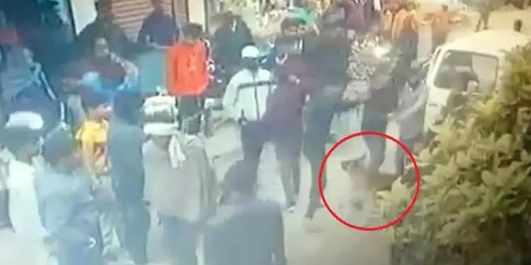 തട്ടിക്കൊണ്ട് പോകാനെത്തിയവരിൽ നിന്ന് ഉടമയെ രക്ഷിച്ച് നായ് – വീഡിയോ
