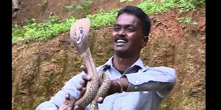 വാവ സുരേഷിന്‍റെ നില ഗുരുതരം ,    5 മണിക്കൂര്‍ നിര്‍ണ്ണായകം :  സൗജന്യ ചികിത്സ നല്‍കുമെന്ന് വീണ ജോര്‍ജ്