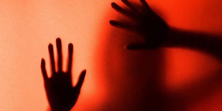 മലപ്പുറത്ത്‌ വീട്ടമ്മയ്ക്ക് നേരെ ലൈംഗികാതിക്രമം ; പ്രായപൂർത്തിയാകാത്ത പ്രതി പിടിയിൽ
