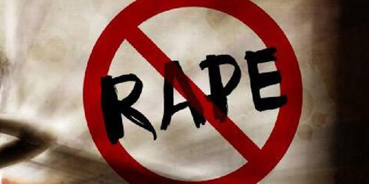 9 വയസ്സുകാരിയെ  പീഡിപ്പിച്ചു  ;  10, 12  വയസ്സുകാർ പിടിയിൽ