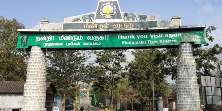 തമിഴ്‌നാട്ടില്‍ മാസ്‌ക് ധരിക്കാത്തവര്‍ക്കുള്ള പിഴതുക ഉയര്‍ത്തി ;  രണ്ട് ഡോസ് വാക്‌സിന്‍ നിര്‍ബന്ധം