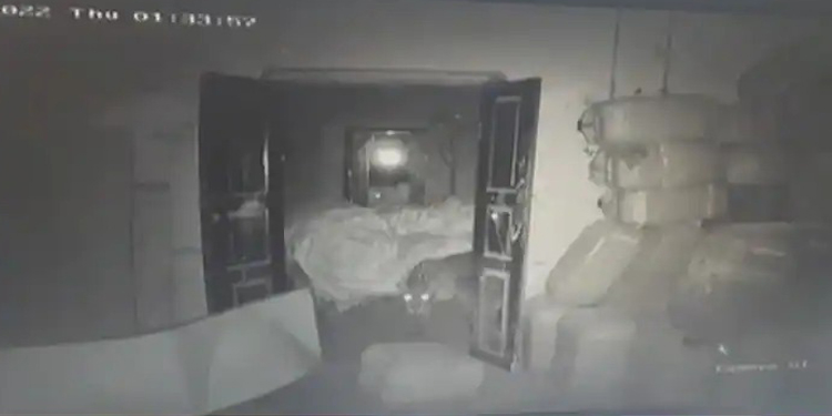 മണ്ണാര്‍ക്കാട് ജനവാസ മേഖലയില്‍ പുലിയിറങ്ങി
