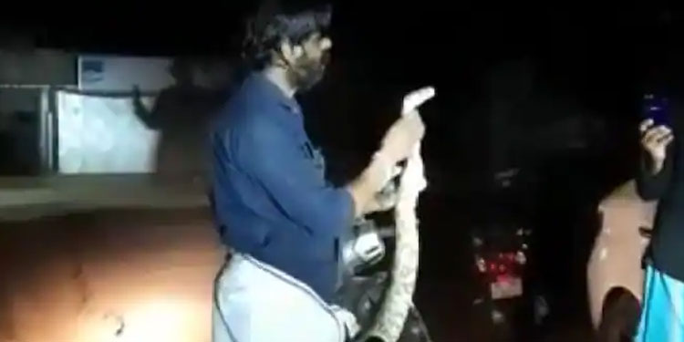 മദ്യലഹരിയിൽ പെരുമ്പാമ്പുമായി യുവാവിന്റെ സ്‌കൂട്ടർ സവാരി ; സംഭവം കൊയിലാണ്ടിയിൽ