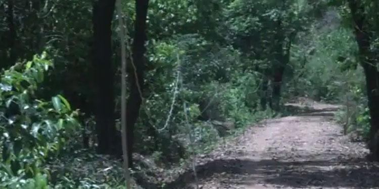 കാഞ്ഞിരപ്പുഴയിൽ വനത്തിൽ കാണാതായ ആദിവാസി യുവാവിനെ കണ്ടെത്തി