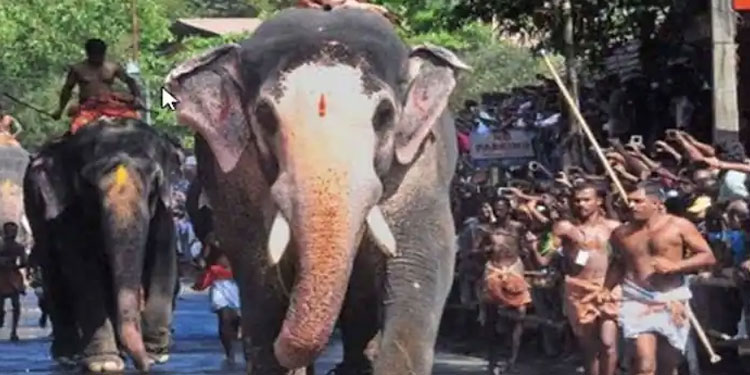 ഗുരുവായൂർ ആനയോട്ടത്തിന് മൂന്ന് ആനകളില്ല ;  ഒരു ആനയെ മാത്രം പങ്കെടുപ്പിക്കാൻ അനുമതി