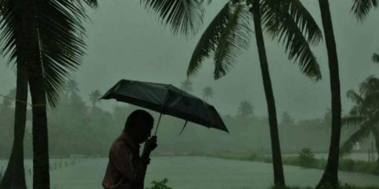 സംസ്ഥാനത്തെ മൂന്ന് ജില്ലകളിൽ യെല്ലോ അലേർട്ട്