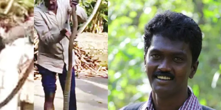 വാവ സുരേഷ് അടുത്ത ദിവസം ആശുപത്രി വിടും
