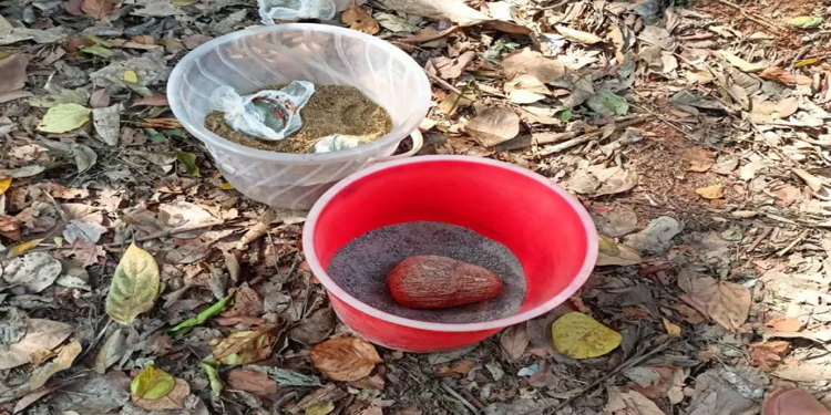 തലശ്ശേരിയില്‍ മൂന്നു ബോംബുകള്‍ ഉപേക്ഷിക്കപ്പെട്ട നിലയില്‍ കണ്ടെടുത്തു