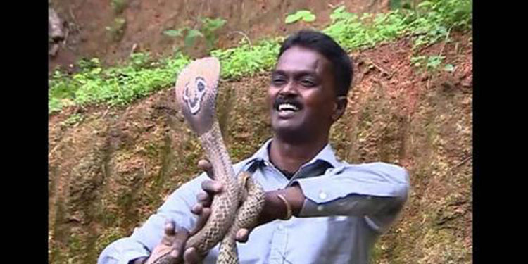 വാവ സുരേഷിൻ്റെ ആശാവഹമായ പുരോഗതി ; മരുന്നുകളോട് പ്രതികരിക്കുന്നുണ്ടെന്ന് ഡോക്ടർമാർ