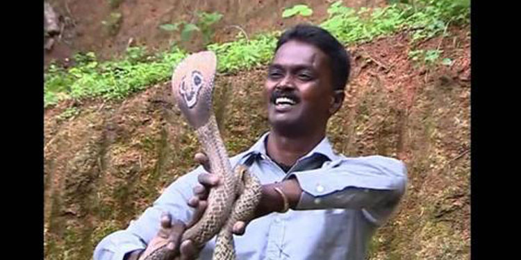 വാവാ സുരേഷിനെ വെന്‍റിലേറ്ററില്‍ നിന്ന് മാറ്റി ; 48 മണിക്കൂര്‍ വരെ ഐസിയു നിരീക്ഷണത്തില്‍