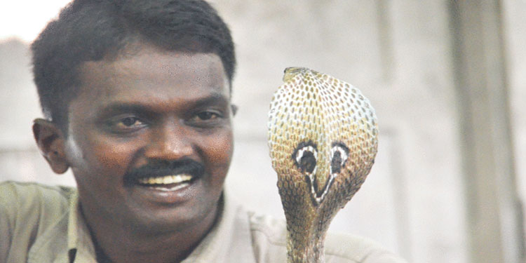 വാവാ സുരേഷിന്‍റെ ആരോഗ്യ നിലയിൽ പുരോഗതി ;  മരുന്നുകളോട് പ്രതികരിക്കുന്നു