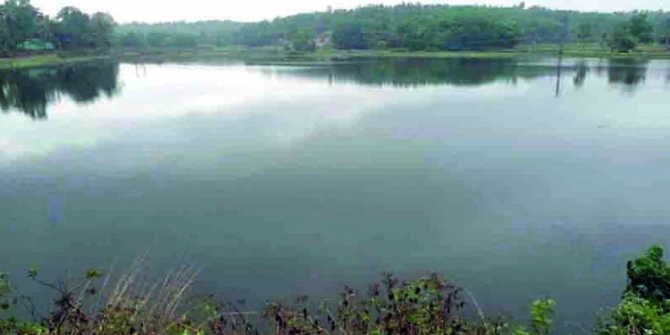 പഴഞ്ചിറകുളത്തിന്റെ ജൈവൈവിധ്യ പഠനത്തിന് തുടക്കമായി 
