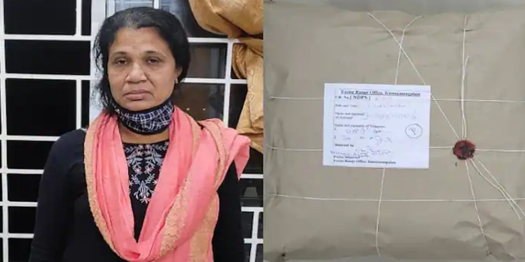 കഞ്ചാവ് കേസില്‍ ജാമ്യത്തിലിറങ്ങി, വീണ്ടും കഞ്ചാവ് വില്‍പ്പന ; പ്രതി പിടിയില്‍