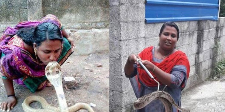 വിഷ പാമ്പുകൾ രാജിക്ക് കളിക്കൂട്ടുകാർ