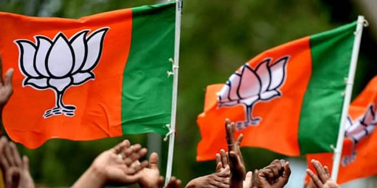 എംഎല്‍എയുടെ മണ്ഡലത്തില്‍പോലും സീറ്റില്ല ;  തമിഴ്‌നാട്ടില്‍ എട്ട് ജില്ലാകമ്മിറ്റികള്‍ പിരിച്ചുവിട്ട് ബിജെപി