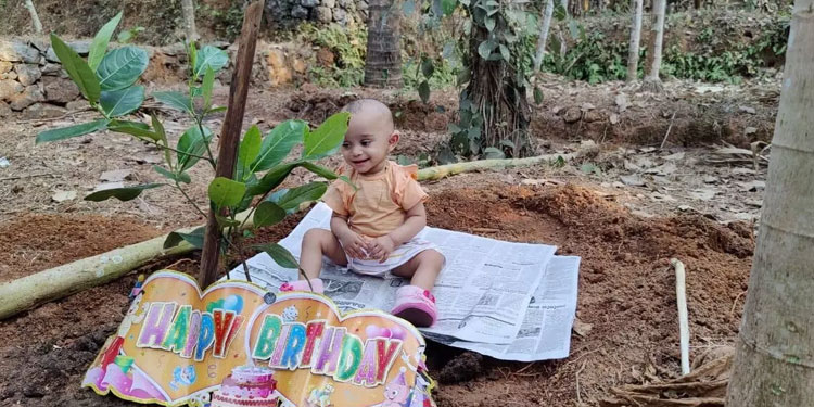 കേക്കിനു പകരം പ്ലാവിൻ തൈ നട്ട് ഒരുവയസുകാരിയുടെ പിറന്നാള്‍ ആഘോഷം