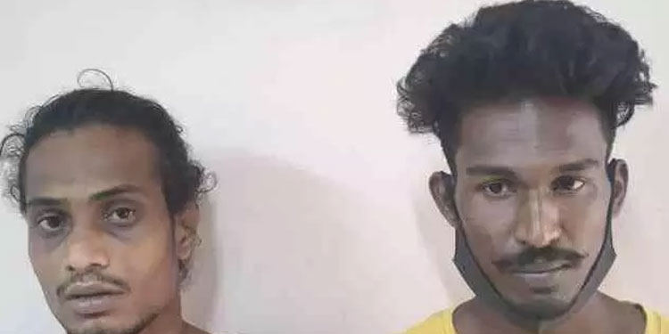 നെടുമങ്ങാട് എട്ടു കിലോ കഞ്ചാവുമായി രണ്ടുപേർ പിടിയിൽ
