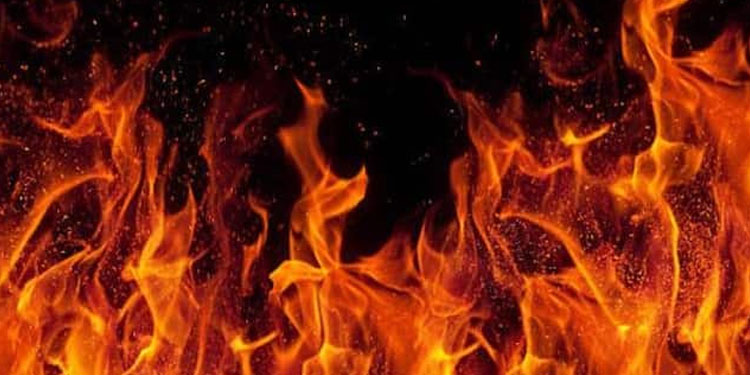 പാലക്കാട് പേഴുങ്കരയിൽ വീട്ടമ്മ തീപ്പൊള്ളലേറ്റ് മരിച്ച നിലയിൽ