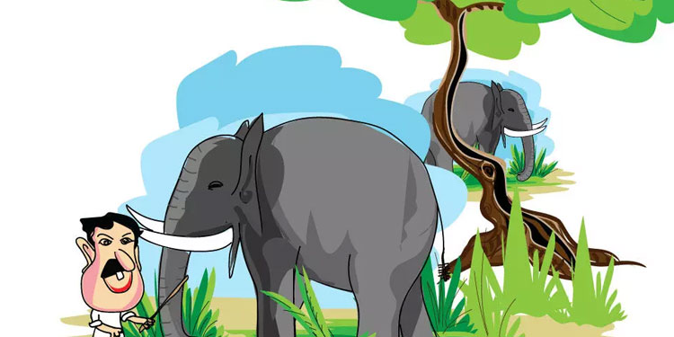 ശിവരാത്രി ഉത്സവത്തിനിടെ ആനകൾക്ക് വ്യാപക പീഡനം