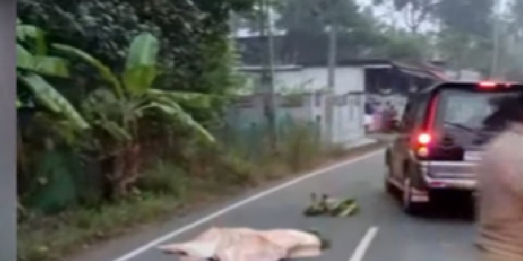 ആലപ്പുഴയിൽ പ്രഭാതസവാരിക്കിറങ്ങിയവരെ ലോറിയിടിച്ചു ; രണ്ട് മരണം