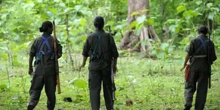 കണ്ണൂര്‍ കൊട്ടിയൂരില്‍ മാവോയിസ്റ്റുകളെ കണ്ടെന്ന് വനംവകുപ്പ് അധികൃതര്‍