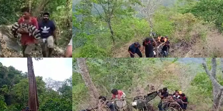 നിലമ്പൂ‍‍ര്‍ കാട്ടിൽ ആദിവാസി യുവാവിനും ആറു മാസം പ്രായമുള്ള കുഞ്ഞിനും ദാരുണാന്ത്യം
