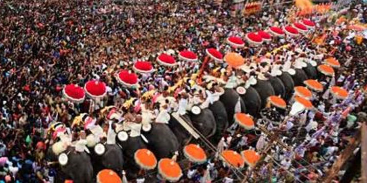 തൃശൂർ പൂരം പൊടിപൊടിക്കും ; കോവിഡ് പ്രോട്ടോക്കോൾ പാലിച്ച് ആഘോഷിക്കാൻ തീരുമാനം