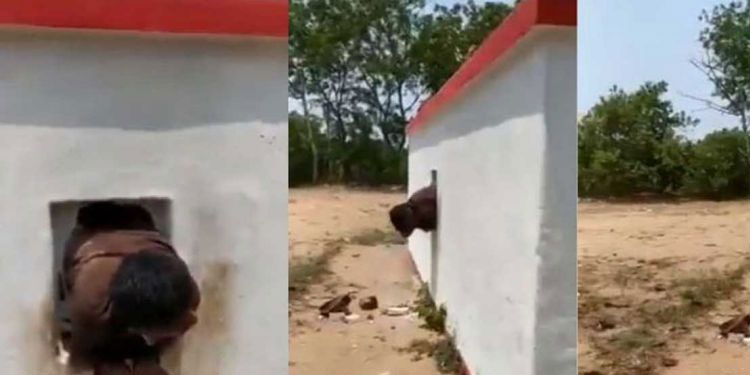 മോഷണത്തിനായി ക്ഷേത്രം തുരന്നു  ; ഒടുവിൽ ദ്വാരത്തിൽ കുടുങ്ങി നിലവിളി