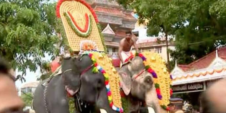 ദേവസ്വങ്ങൾക്ക് മുന്നറിയിപ്പുമായി വനംവകുപ്പ് : ആനകളുടെ എണ്ണം നൽകിയില്ലെങ്കിൽ സുപ്രീംകോടതിയെ അറിയിക്കും