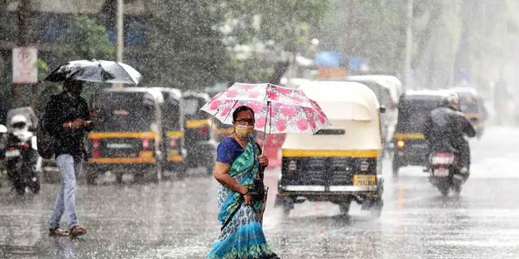 അടുത്ത മണിക്കൂറുകളിൽ 9 ജില്ലകളിൽ ഇടിയോടുകൂടിയ മഴക്ക് സാധ്യത ; 2 ജില്ലയിൽ യെല്ലോ അലർട്ട്, കാറ്റ് ശക്തമാകും