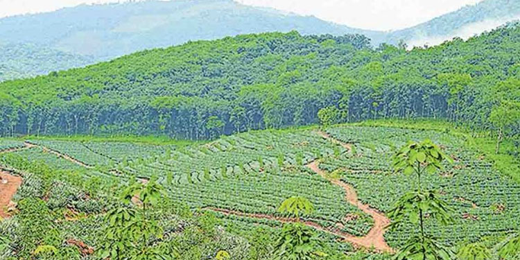 ശബരിമല വിമാനത്താവളം : കേന്ദ്രം വീണ്ടും റിപ്പോർട്ട് തേടി