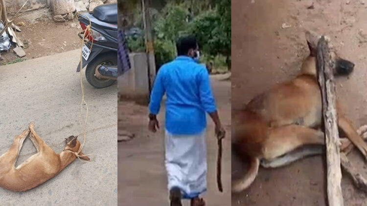 നായയെ കൊന്ന് വാഹനത്തിൽ കെട്ടിവലിച്ചു ; സിപിഎം നേതാവിനെതിരെ പരാതി