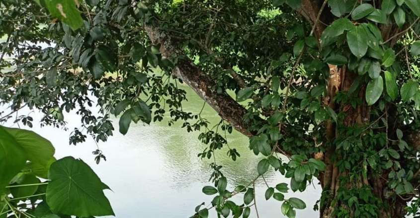 കോട്ടയത്ത് മീനച്ചിലാറ്റില്‍ കുളിക്കാനിറങ്ങിയ രണ്ട് കുട്ടികള്‍ മുങ്ങിമരിച്ചു
