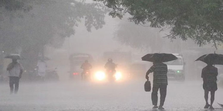 കനത്ത മഴ , 2 ജില്ലകളിൽക്കൂടി യെല്ലോ അലർട്ട് , 7 ജില്ലകളിൽ മഴ മുന്നറിയിപ്പ്