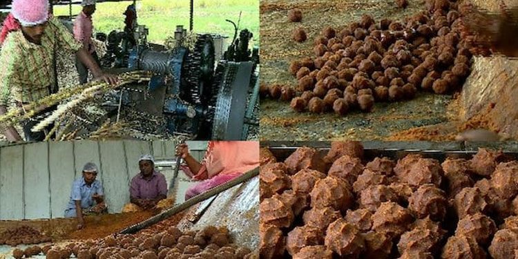 ശർക്കരയ്ക്ക് ജിഎസ്ടി : ആശങ്കയിൽ മറയൂരിലെ കർഷകർ , കേന്ദ്രം പിന്മാറണമെന്ന് ആവശ്യം