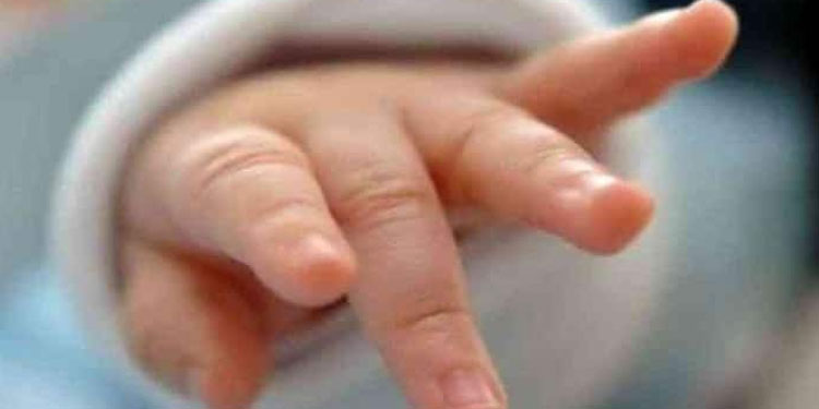 കാട്ടാന വഴി തടഞ്ഞു ; 24കാരി ആംബുലൻസിൽ കുഞ്ഞിന് ജന്മം നൽകി
