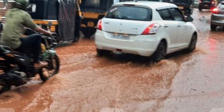 കോട്ടയം , തൃശൂർ ജില്ലകളിൽ കനത്ത മഴ; ഒല്ലൂരിൽ കാറുകൾക്കു മുകളിൽ മരം വീണു