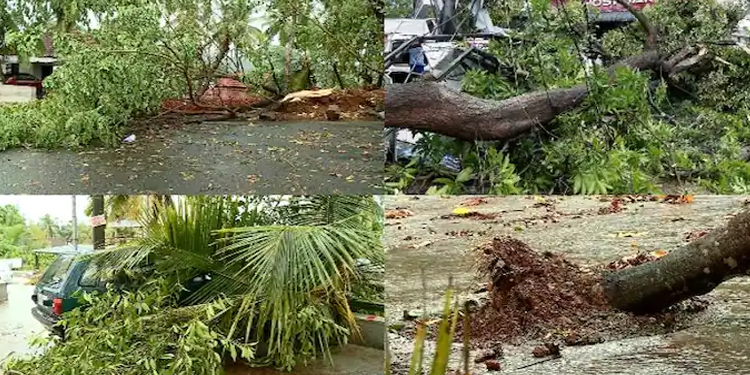 സംസ്ഥാനത്ത് കനത്ത മഴയിലും കാറ്റിലും വ്യാപകനാശം ; തിരുവനന്തപുരത്ത് ഒൻപത് പേർക്ക് മിന്നലേറ്റു