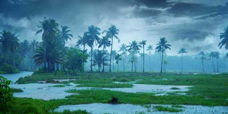 അടുത്ത മണിക്കൂറുകളിൽ 5 ജില്ലകളിലെ ഒറ്റപ്പെട്ടയിടങ്ങളിൽ മഴയ്ക്ക് സാധ്യത