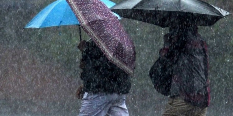 സംസ്ഥാനത്ത് 16 വരെ ശക്തമായ കാറ്റിനും മഴക്കും സാധ്യത; വിവിധ ജില്ലകളിൽ മഞ്ഞ അലർട്ട്‌