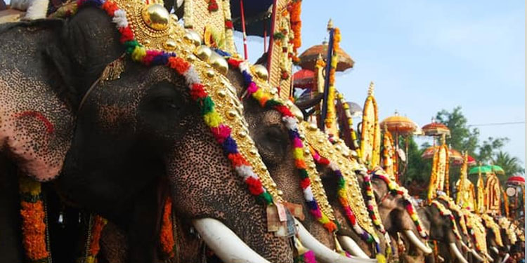 തൃശ്ശൂര്‍ പൂരം വെടിക്കെട്ട് നാളെ വൈകിട്ട്