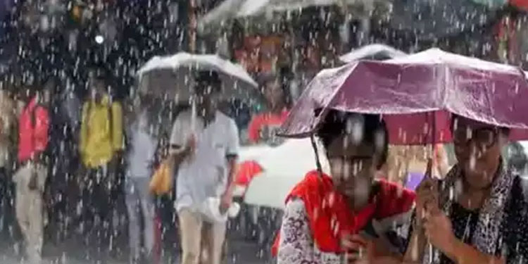 സംസ്ഥാനത്ത് ഇന്നും നാളെയും കനത്ത മഴയ്ക്ക് സാധ്യത; രണ്ട് ജില്ലകളില്‍ യെല്ലോ അലർട്ട്