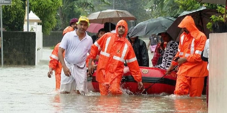 മഴ അതിശക്തം: എറണാകുളം ജില്ലയിൽ കോടിക്കണക്കിന് രൂപയുടെ കൃഷി നശിച്ചു