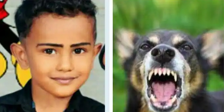 നായയുടെ നഖം കൊണ്ട് പോറി, കുത്തിവെപ്പെടുത്തില്ല ; 9 വയസ്സുകാരൻ മരിച്ചു, മുത്തച്ഛനും മുത്തശ്ശിയും ആശുപത്രിയിൽ