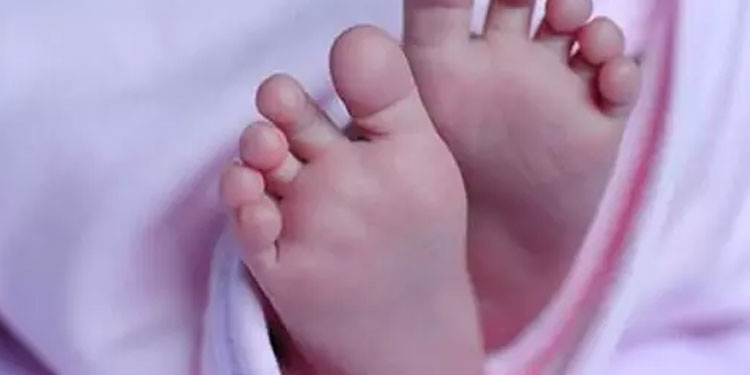 പിഞ്ചുകുഞ്ഞിനെ വഴിയരികിൽ ഉപേക്ഷിച്ച നിലയിൽ